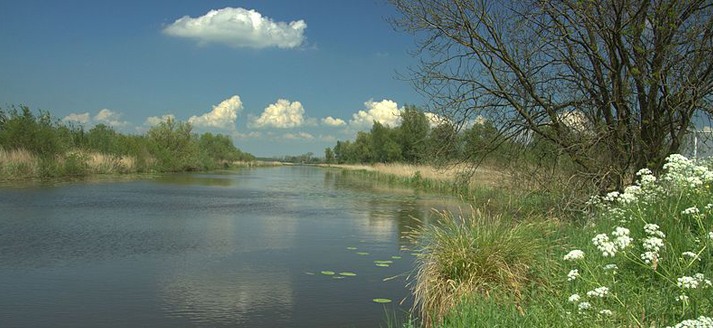Natuurgebied de Zouweboezem