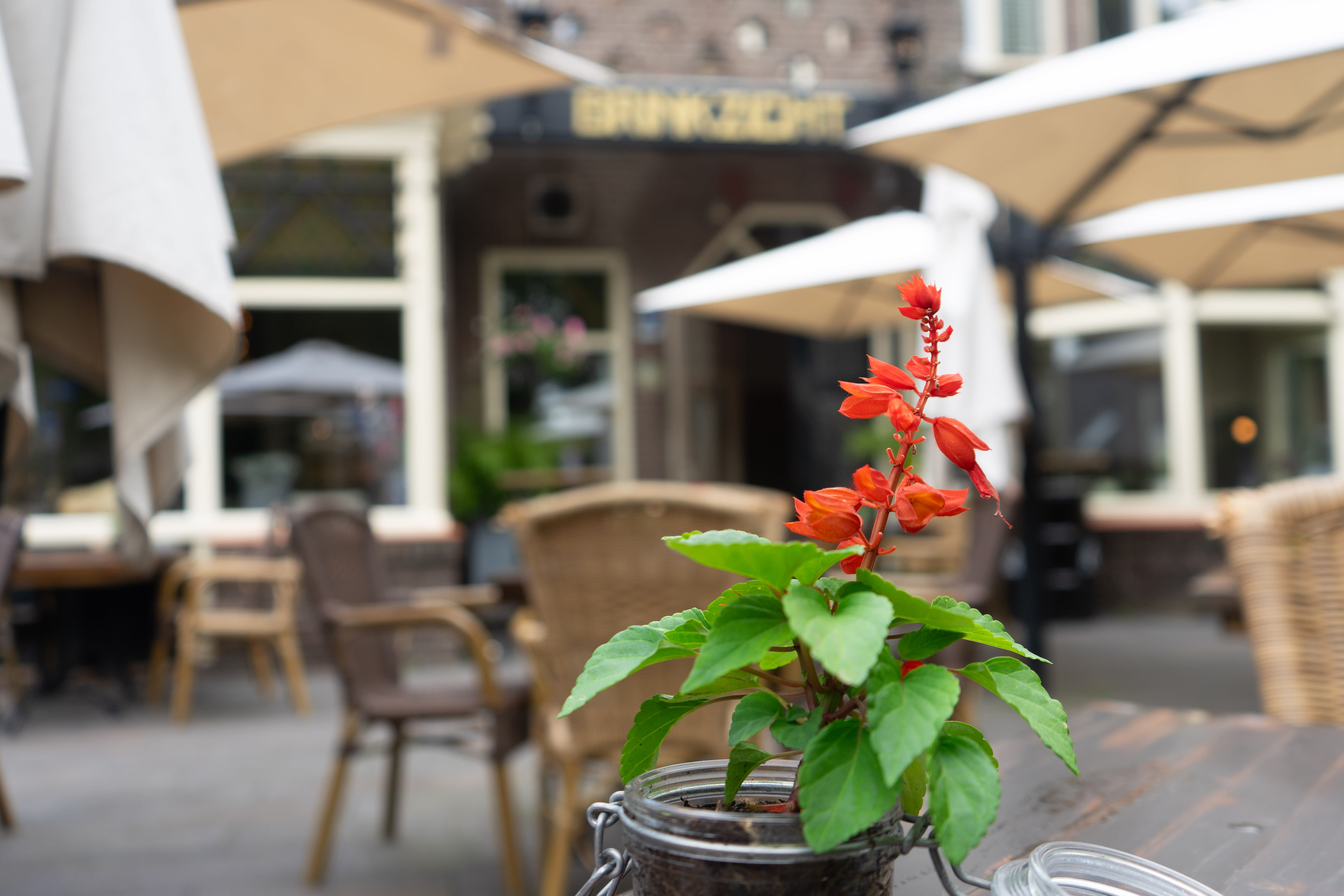 Restaurant Brinkzicht Diever welkom