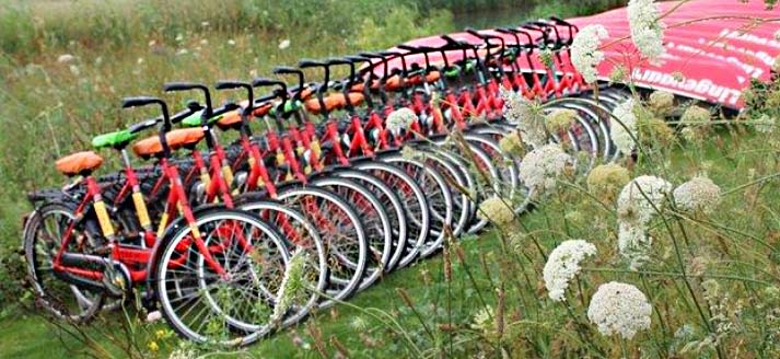 Lingevaart Kano- en Fietsverhuur
