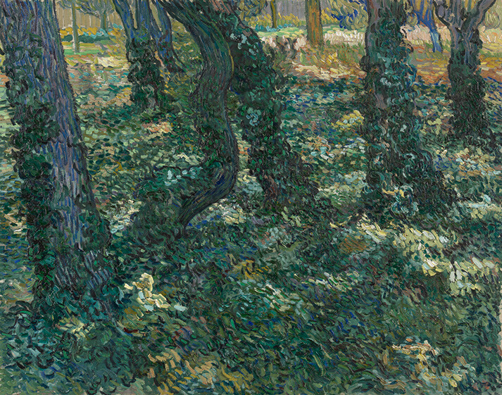 Undergrowth, Vincent van Gogh, Saint-Rémy-de-Provence, juli 1889