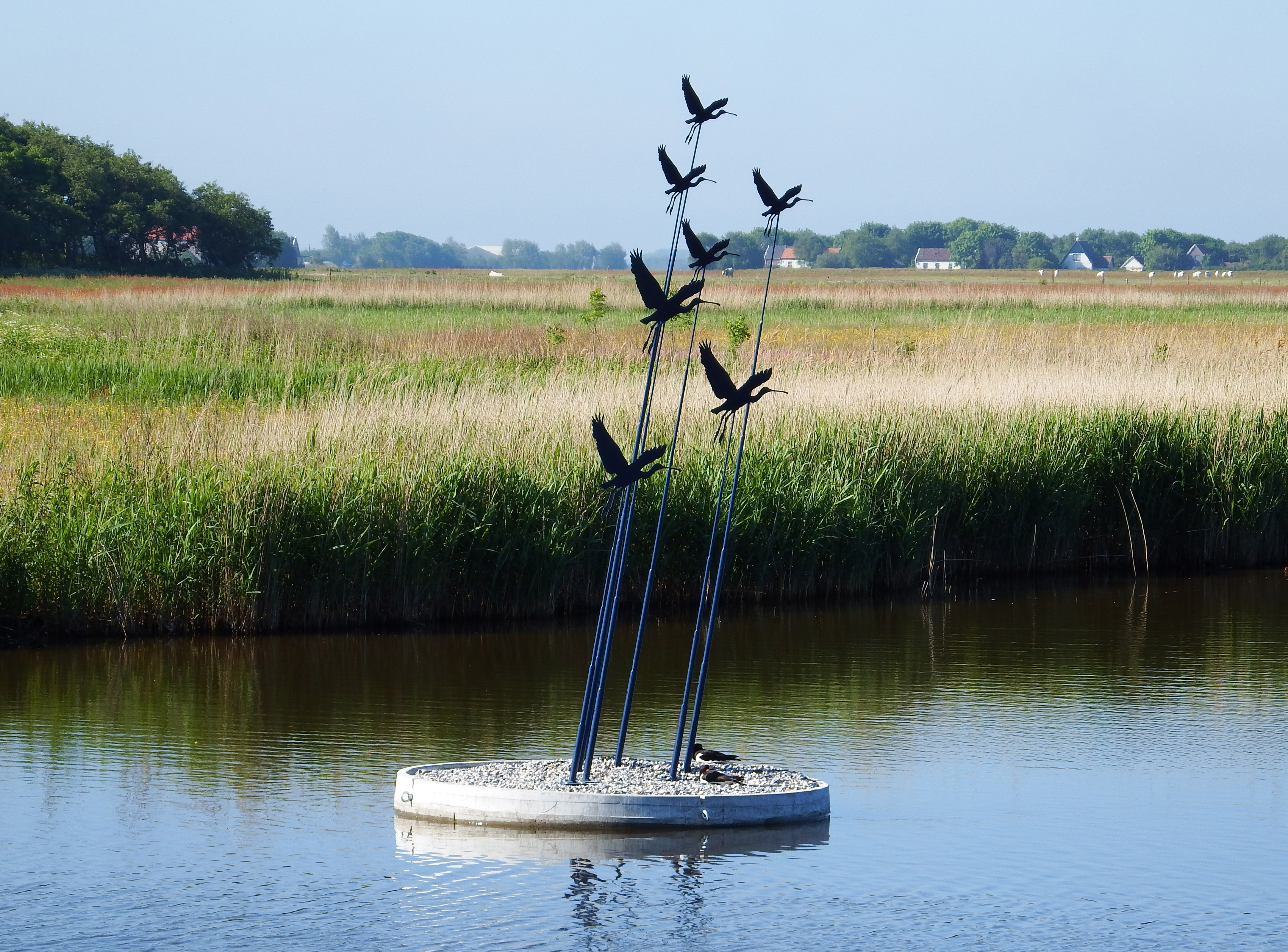 VRIJHEID van Angelina Stiehl