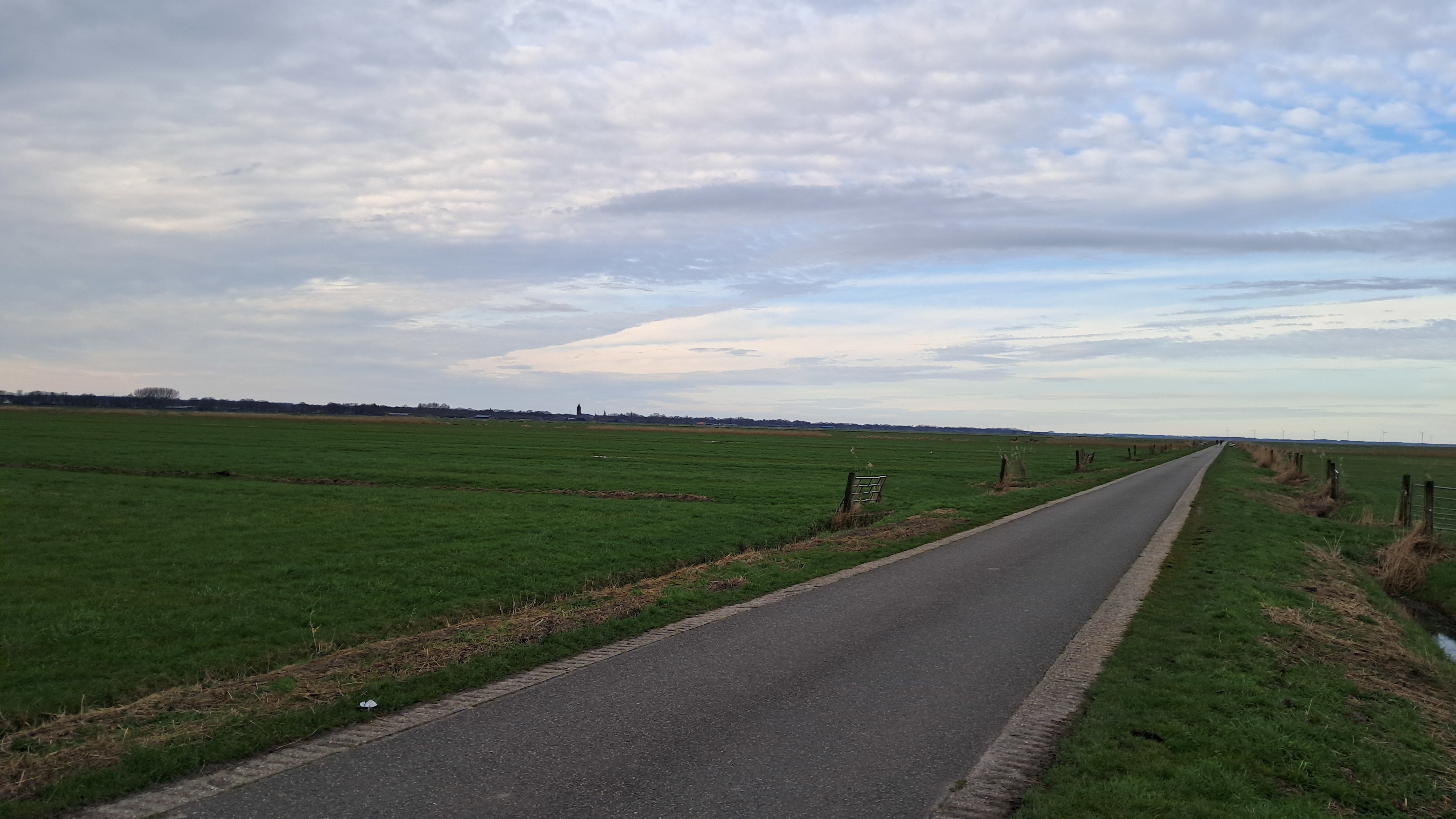 Eempolder | weiland tot aan de horizon