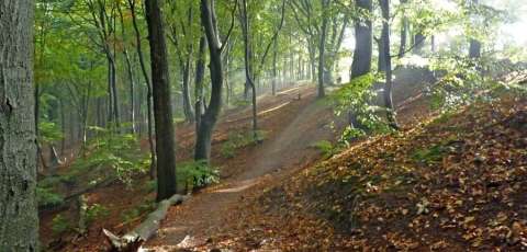 Hotel De Musschenberg