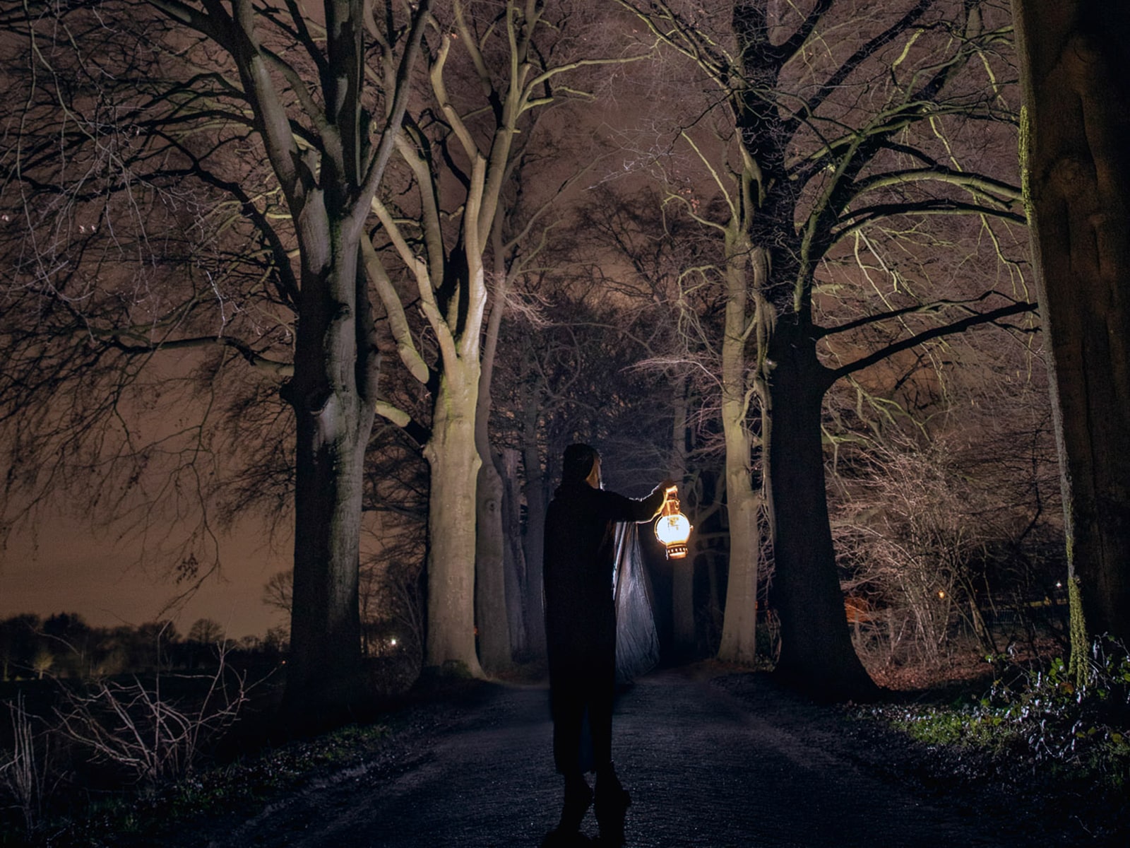 Donkere bomen in Bladel - ©VisitBrabant