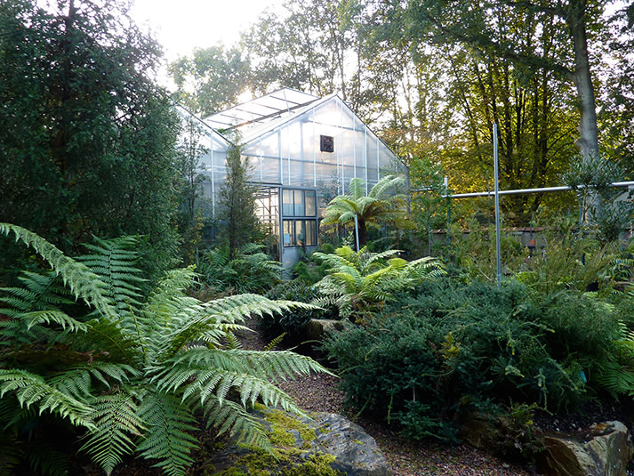 Botanische tuin Pinetum Blijdenstein