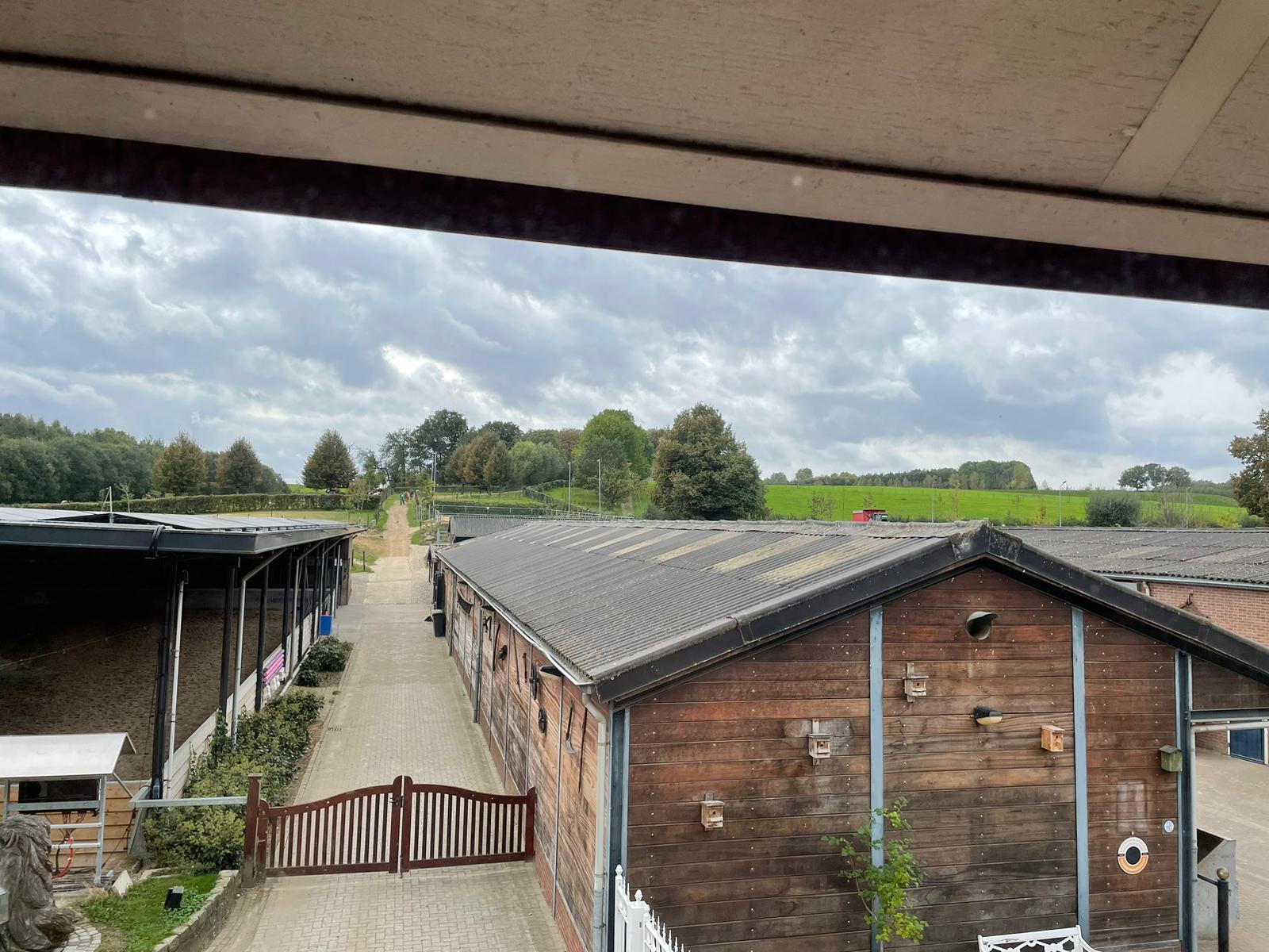 Paardenstallen bij de Rimburgerhoeve