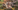 Liberation route | Battle in the Air