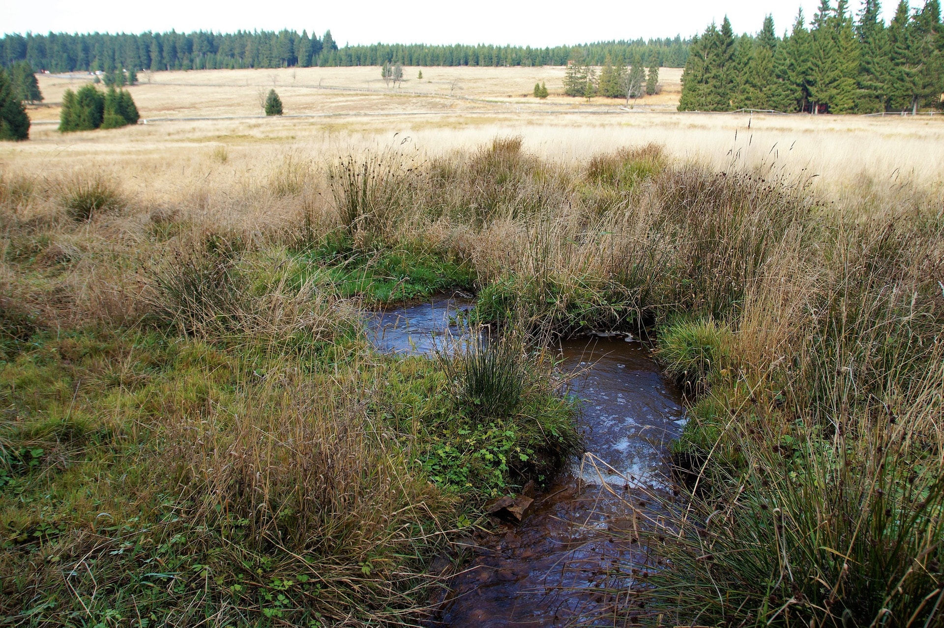 Aardkundig Monument Uitblazingskom Duunsche Landen