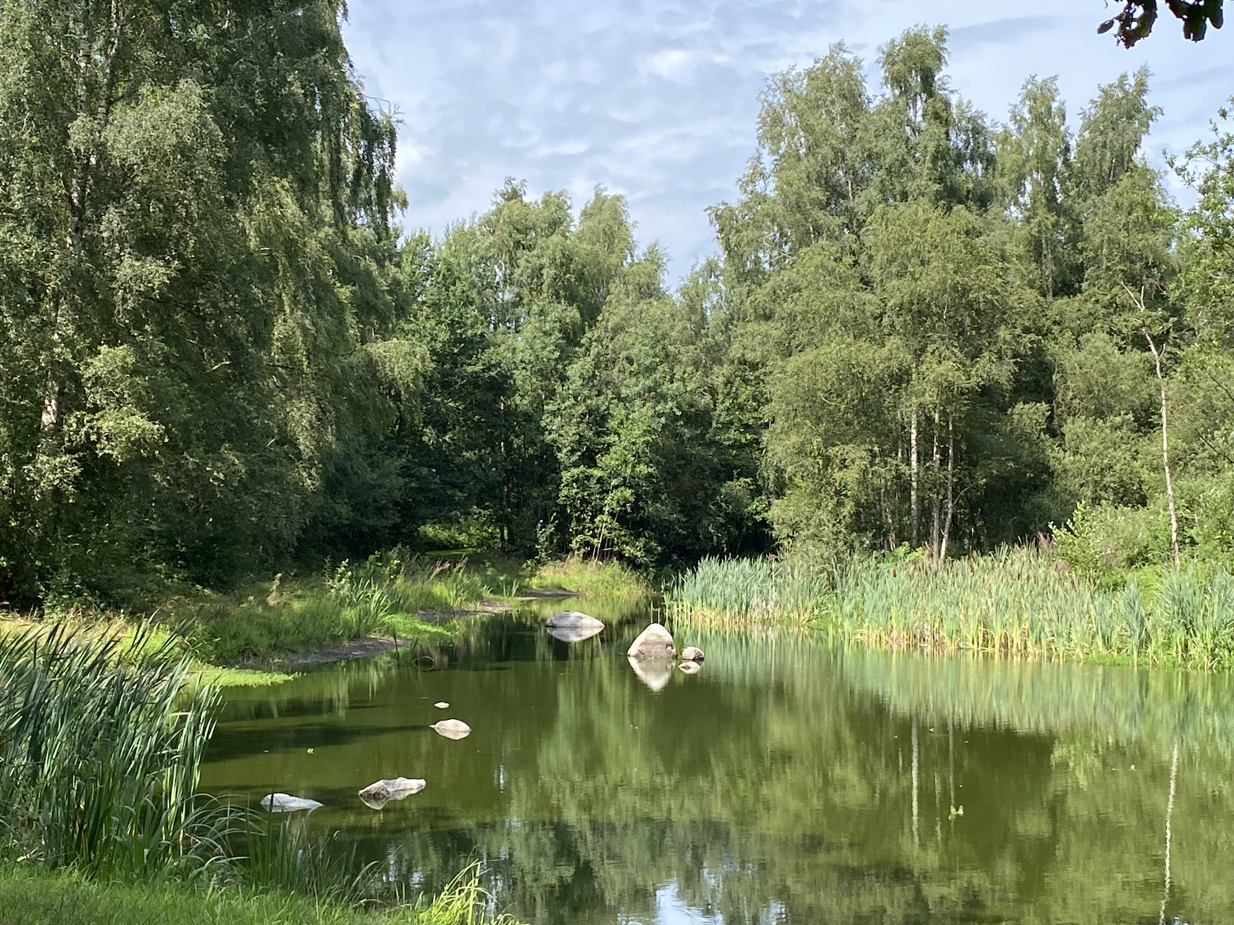 Het Kavelbos in Schuinesloot