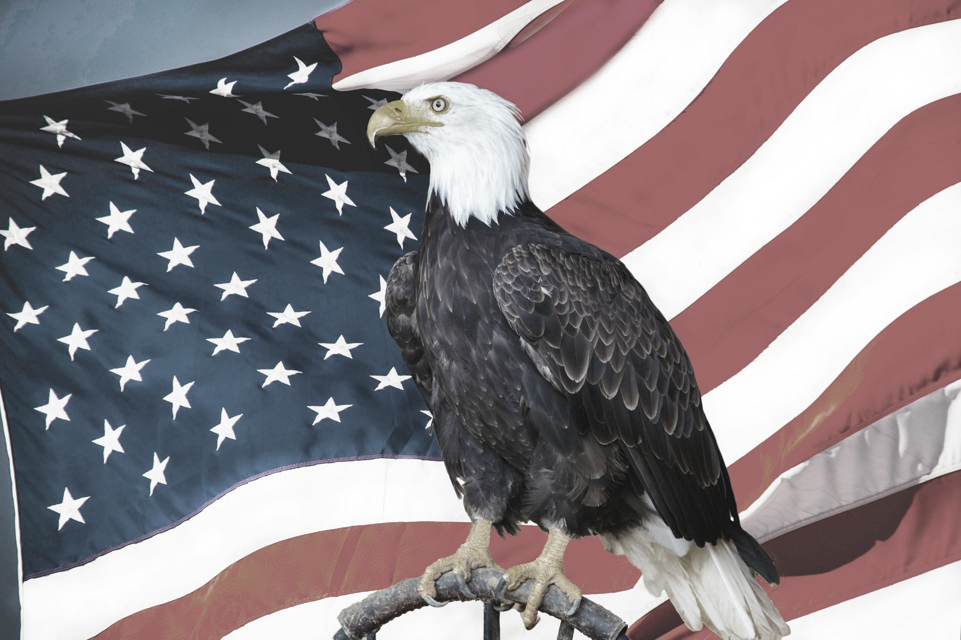 Screaming Eagles Monument