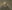 Der junge Rembrandt und seine Leidener Zeitgenossen