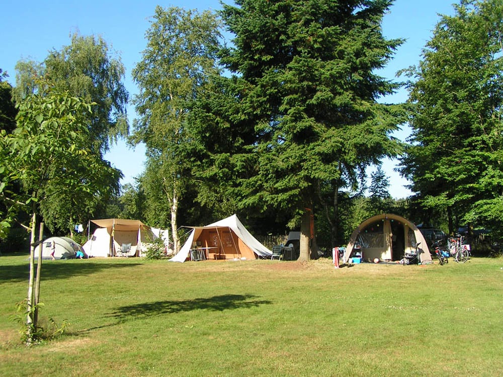 Natuurcamping Eelerberg