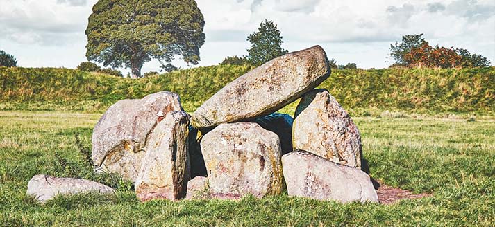 Foto ter illustratie