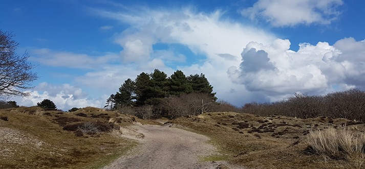 Bezoekerscentrum De Schaapskooi