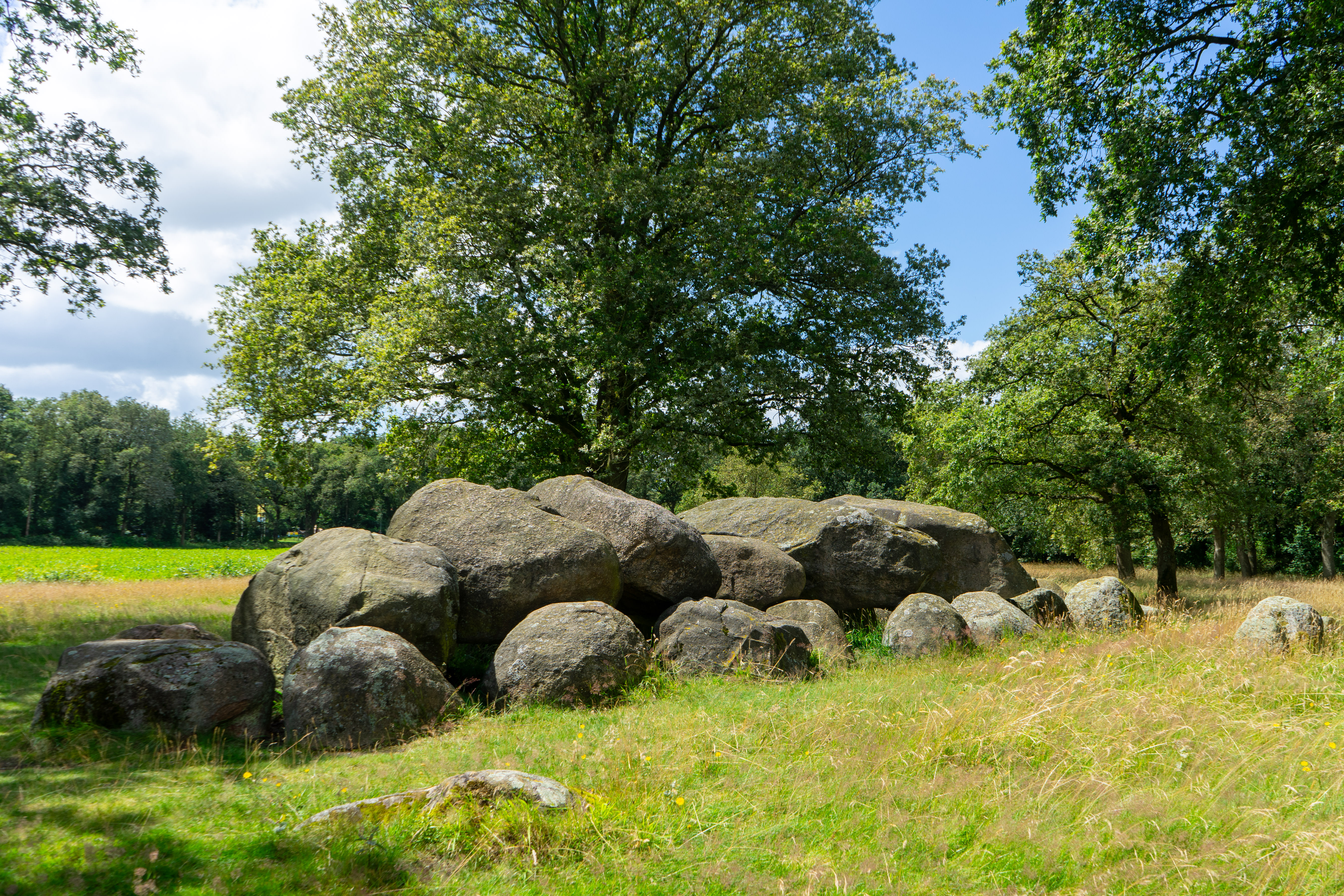 Hunebed D14 in volle glorie