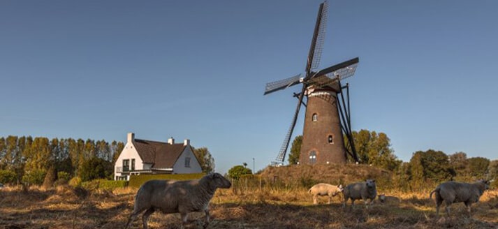 Molen de Roosdonck