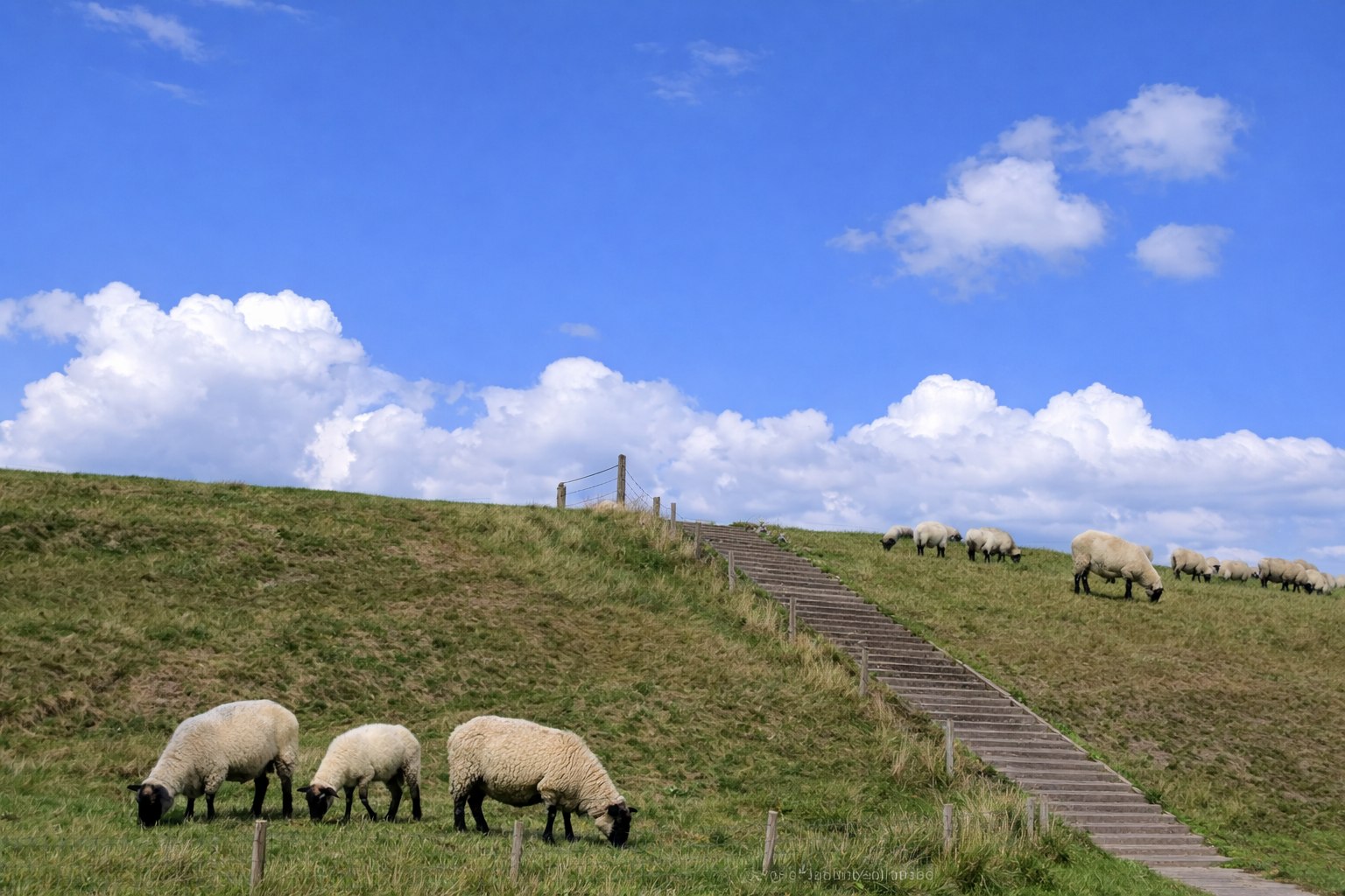 Noorderoeverdijk Den Oever