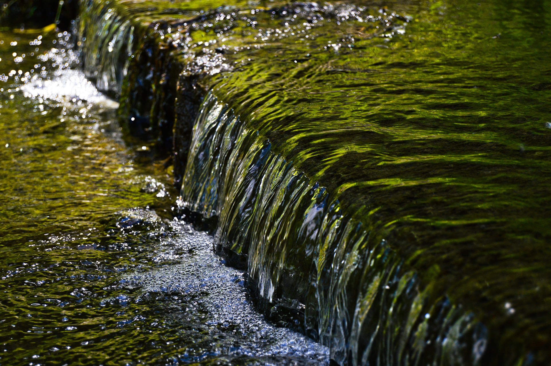 Vistrap Hancate Regge