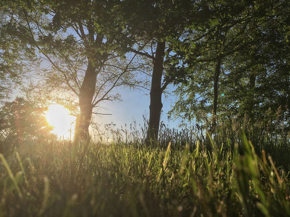 Natuurkampeerterrein de Buitenplaats