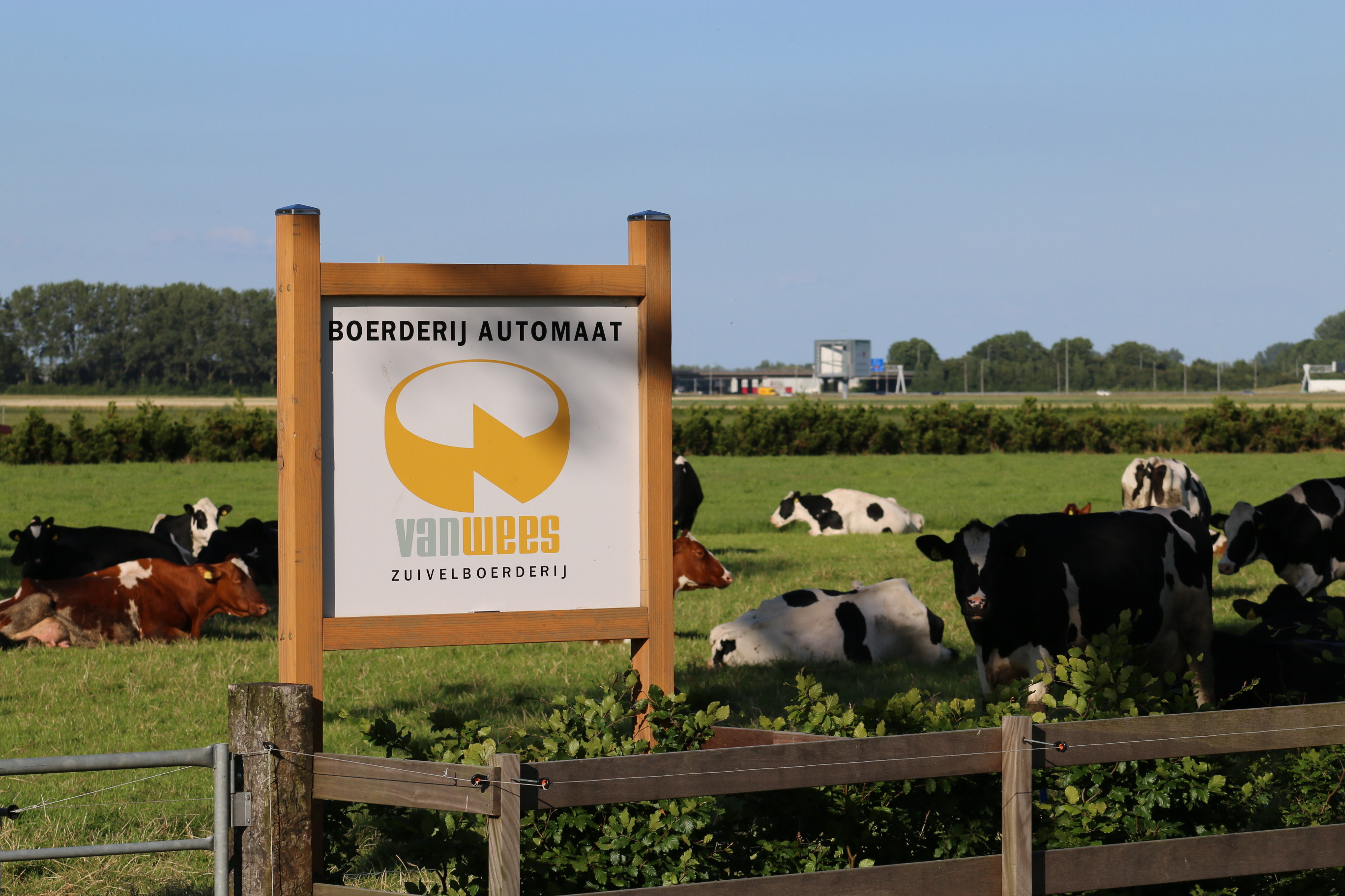 Zuivelboerderij van Wees