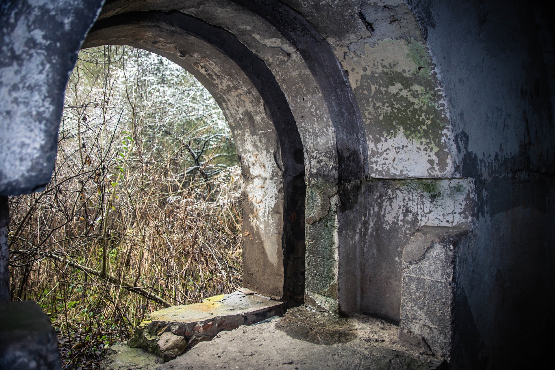 Foto ter illustratie