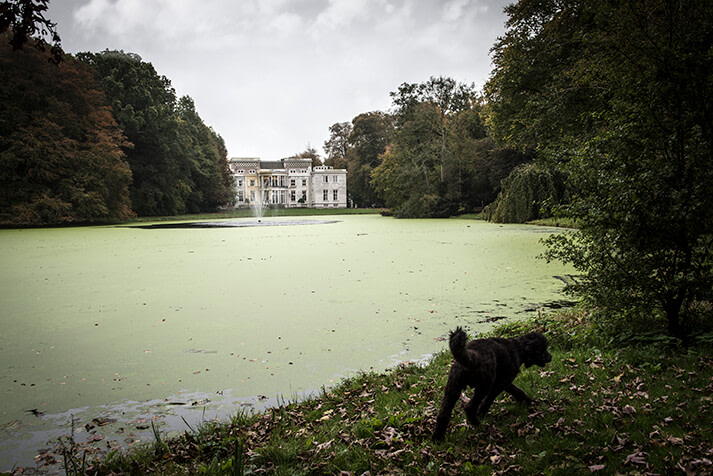 De Paauw vooraanzicht