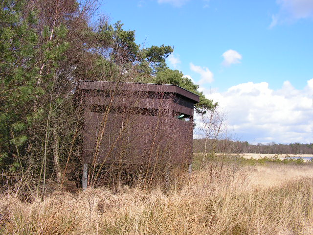Vogelkijkhut Davidsplassen - ©Cees Venema - via Vogelkijkhut.nl