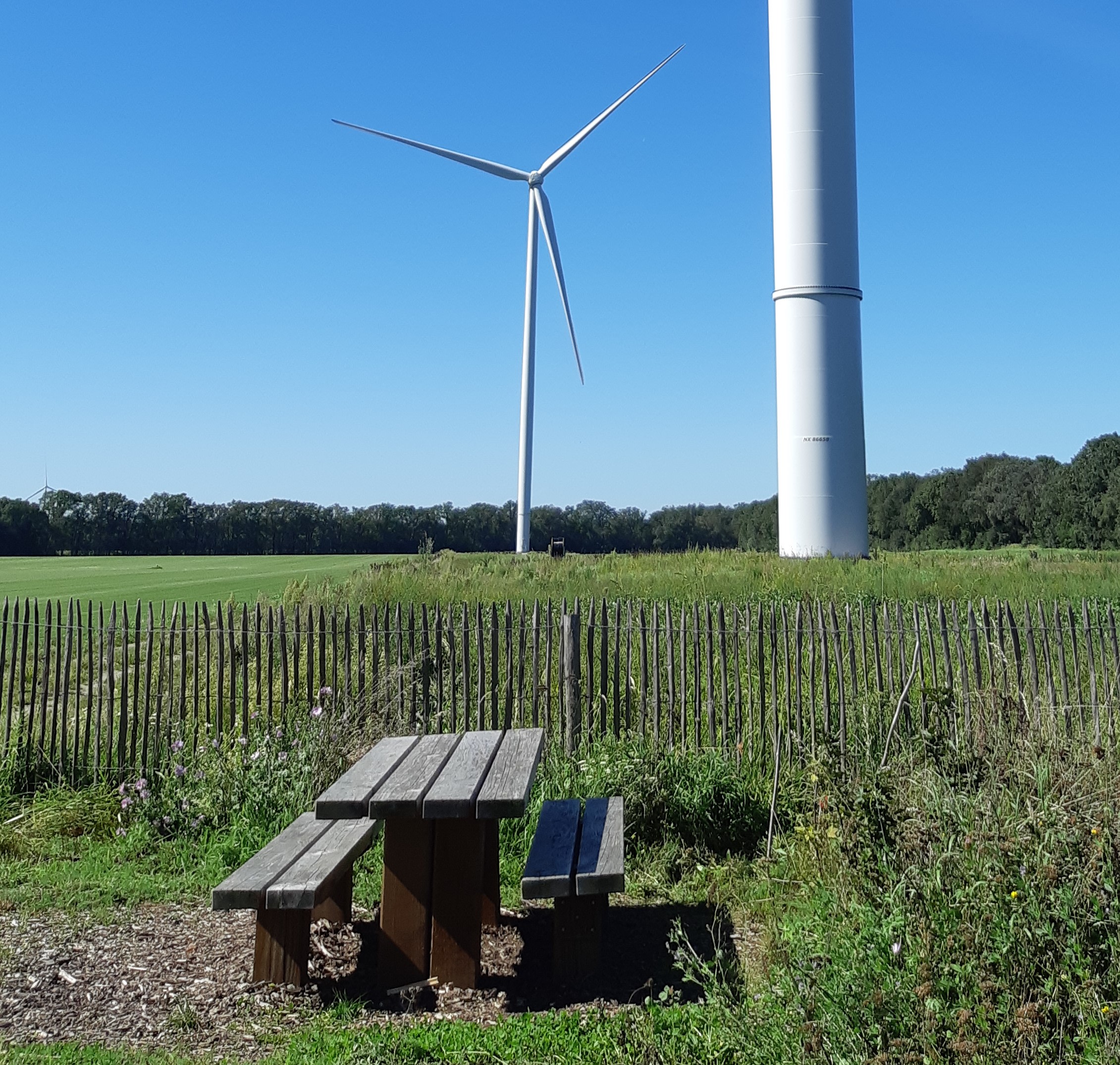 Voedselbos en Windmolenpark Heibloem Picknicktafel