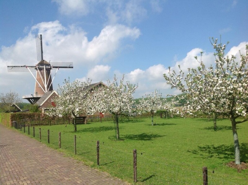 Bed and Breakfast Molengaard