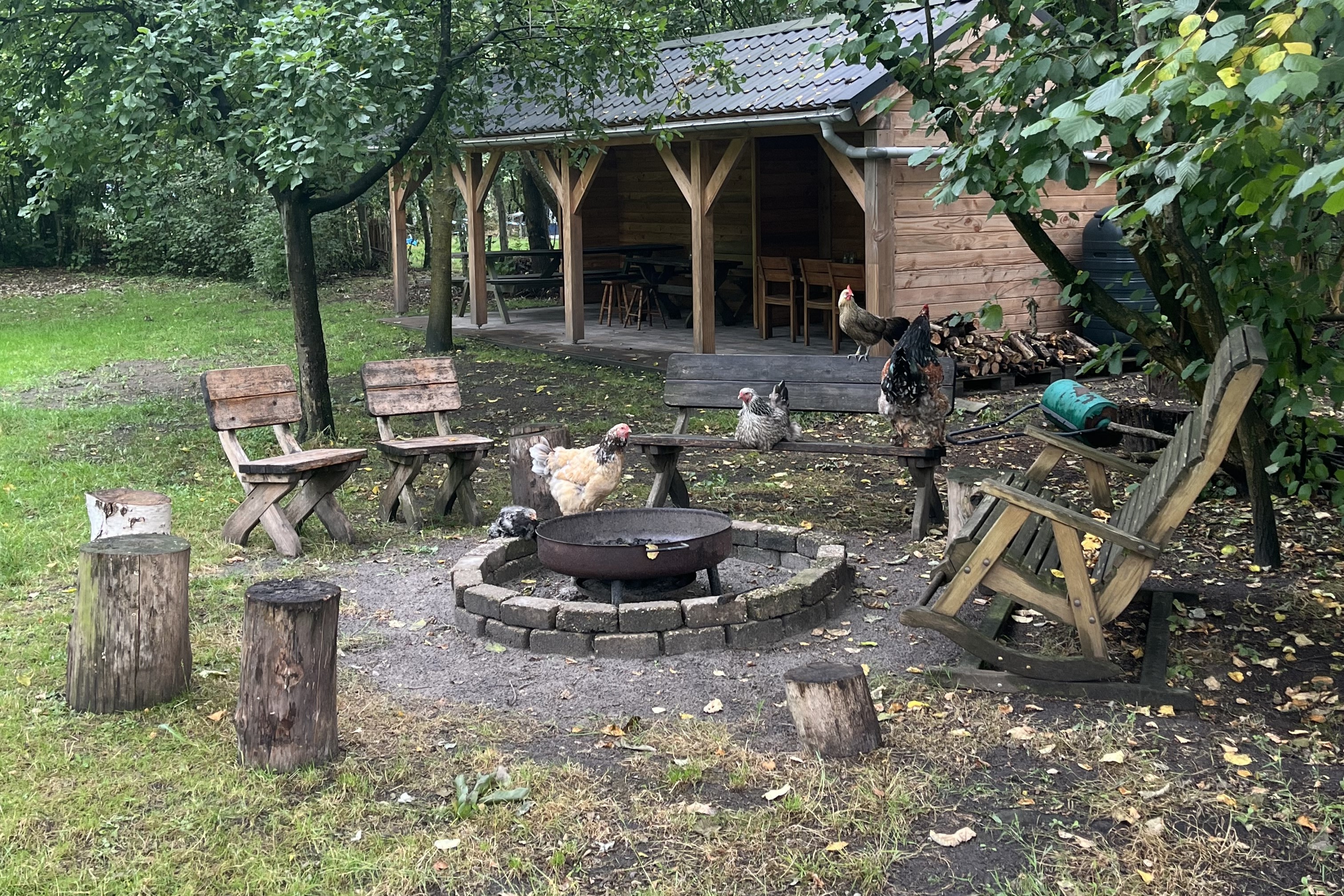 Natuurkampeerterrein Laaghalerveld - Gezellige vuurplaats