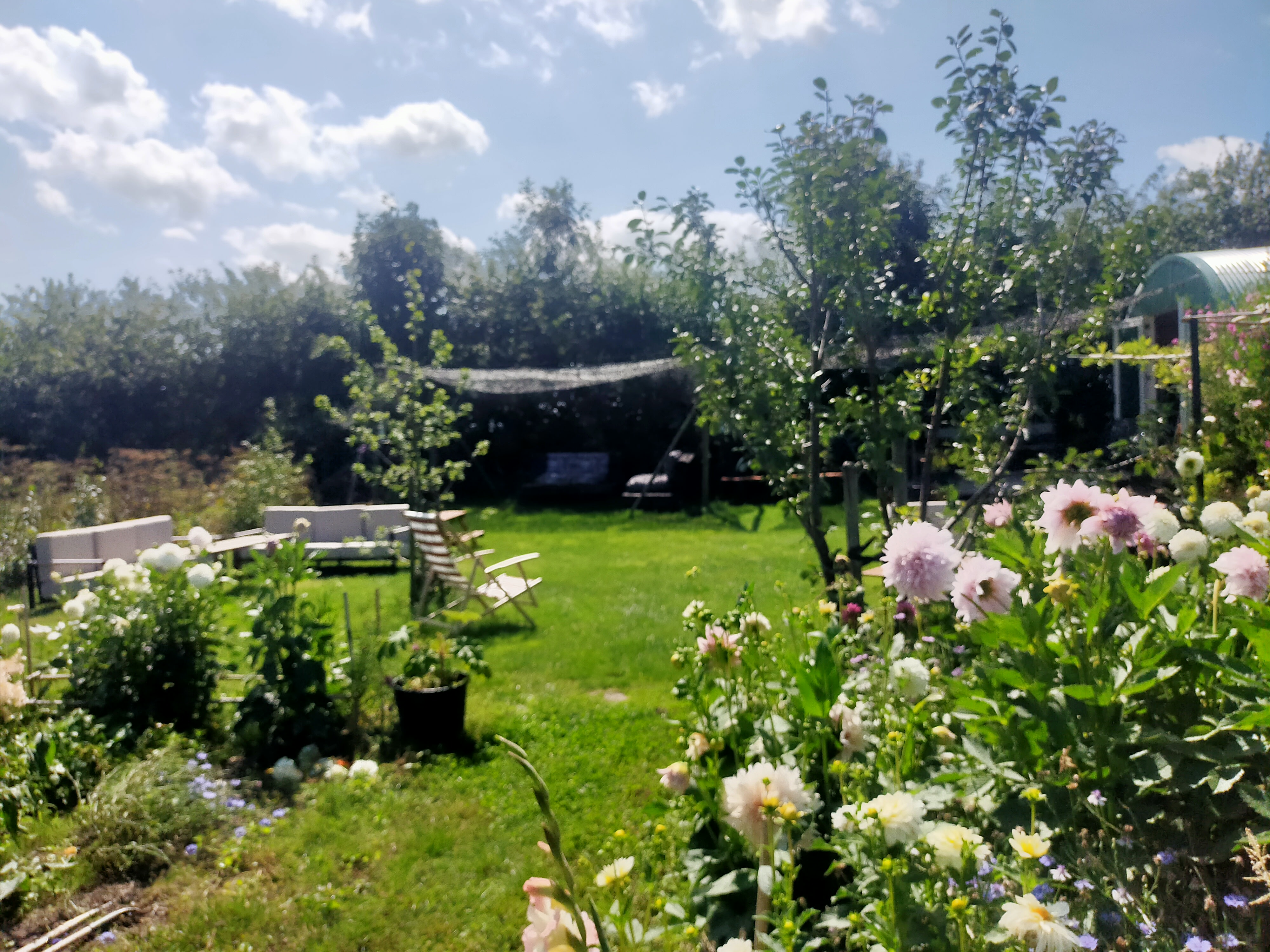 Thee in de tuin - bloemen