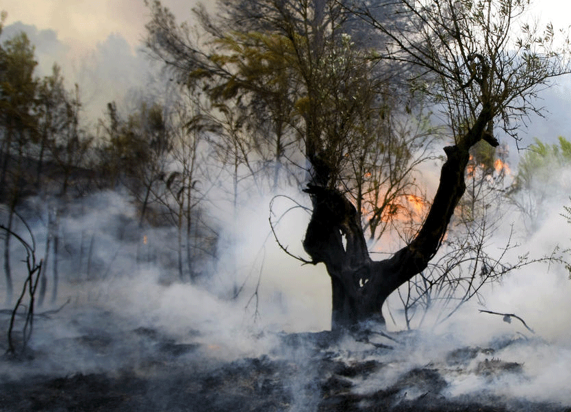 Restaurant de Woeste Hoeve