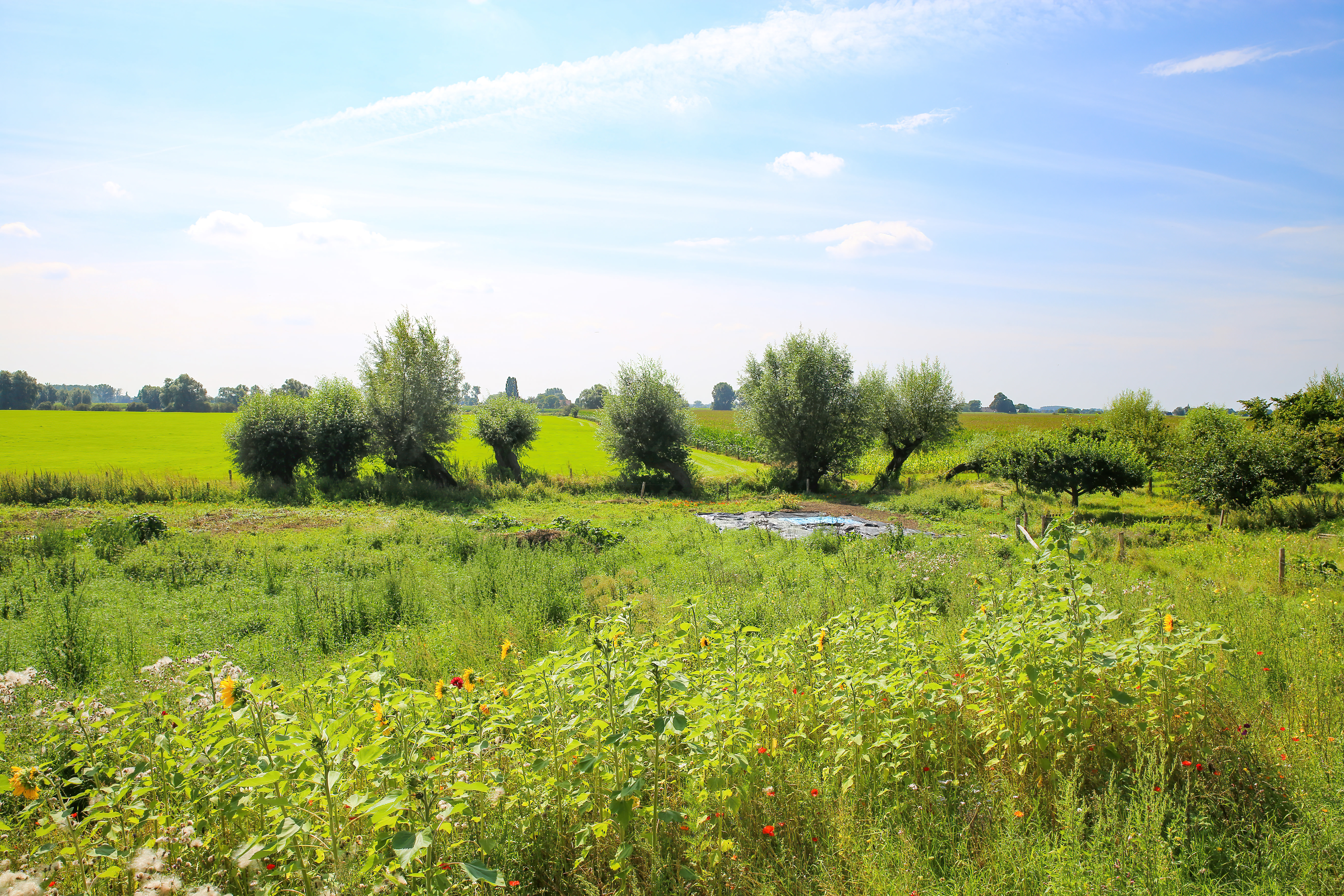 Uitkijktoren De Bult
