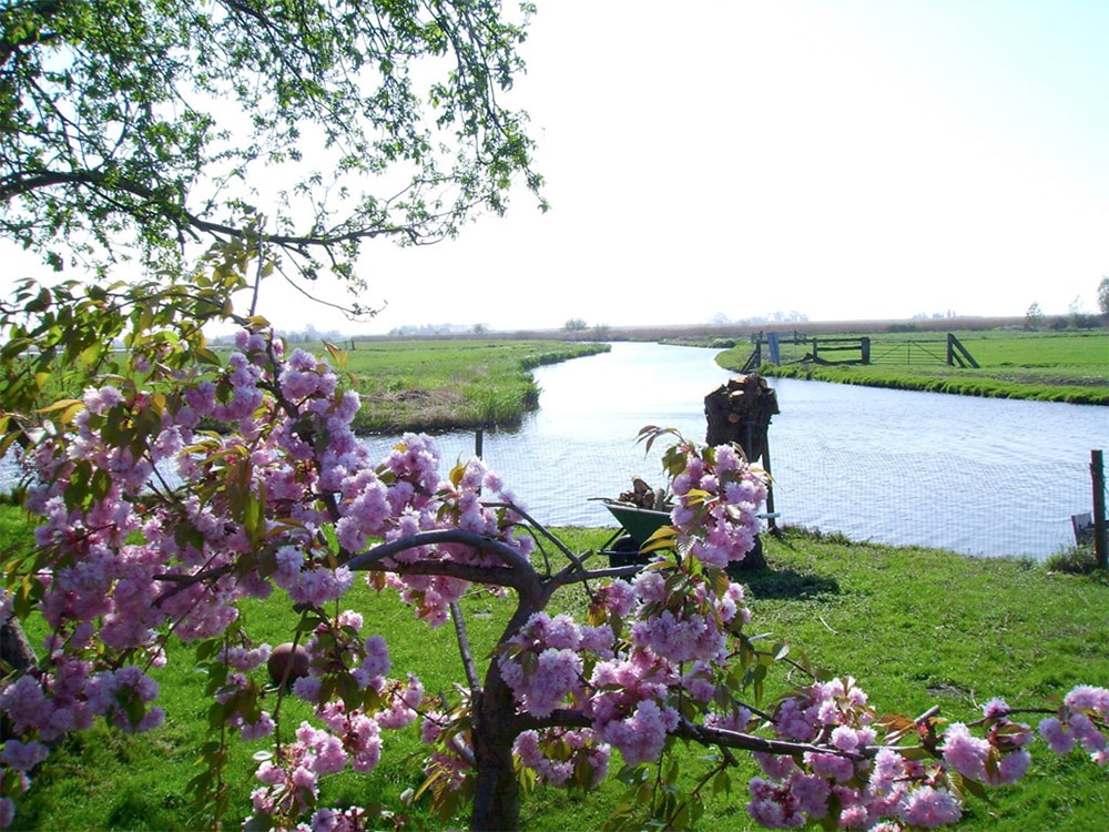 Theetuin en Theeschenkerij 't Einde