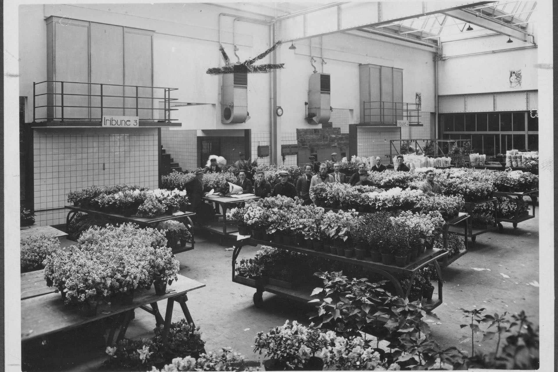 Lading bloemen voor Duitsland