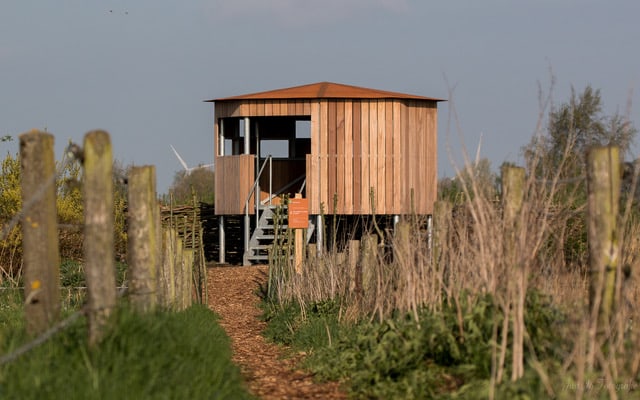 Vogelkijkhut Rietland
