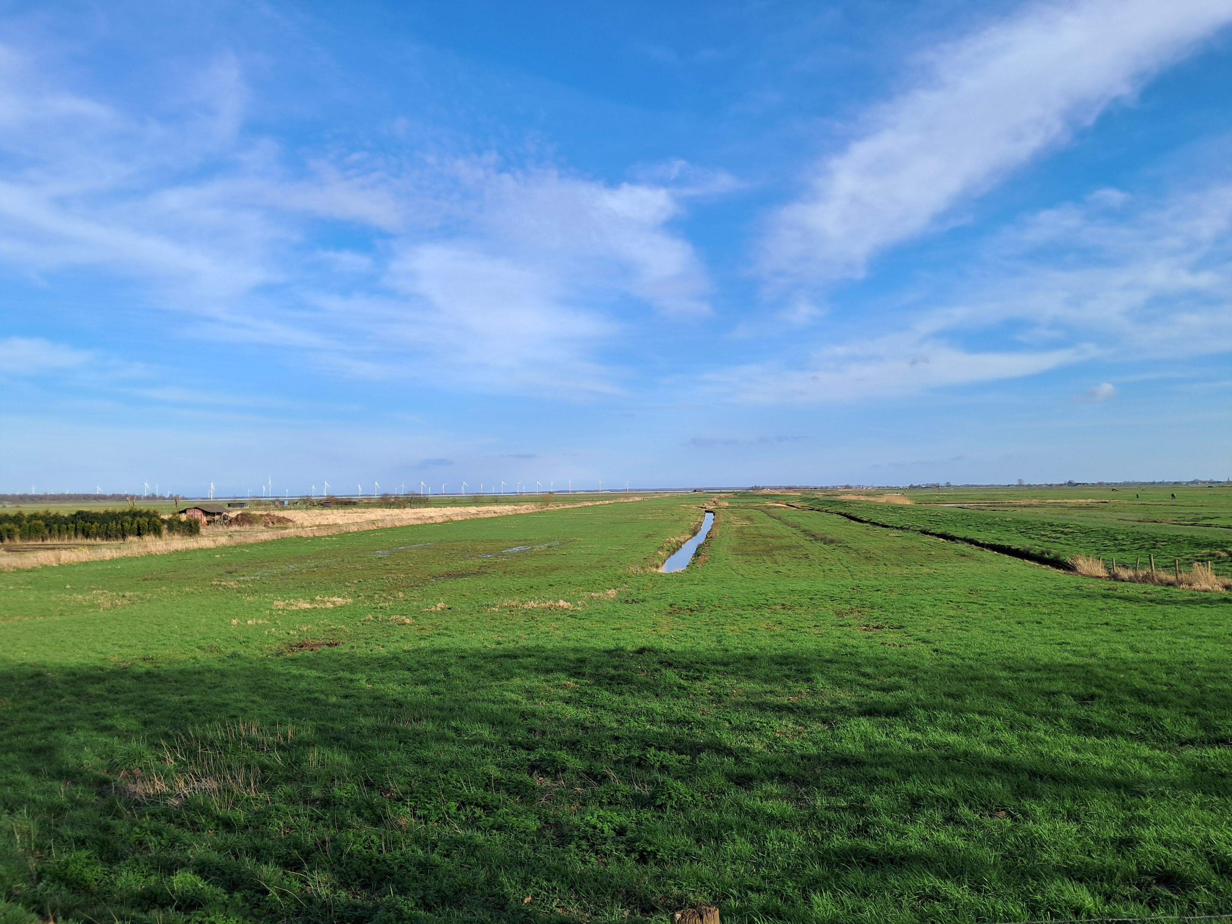 Eempolder | uitzicht op weide 