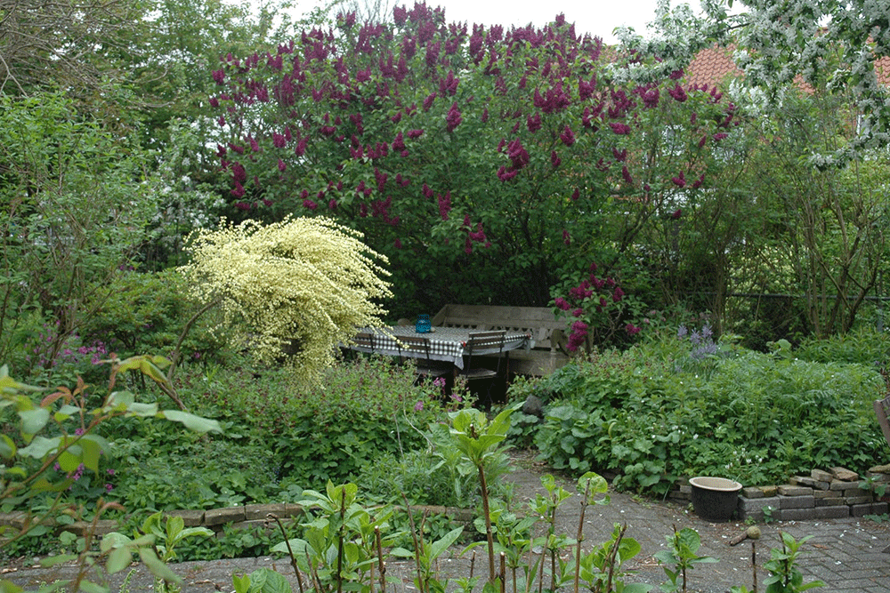 Antje en Gulle Bed and Breakfast