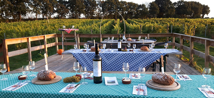 Wijngaard van Ditshuizen