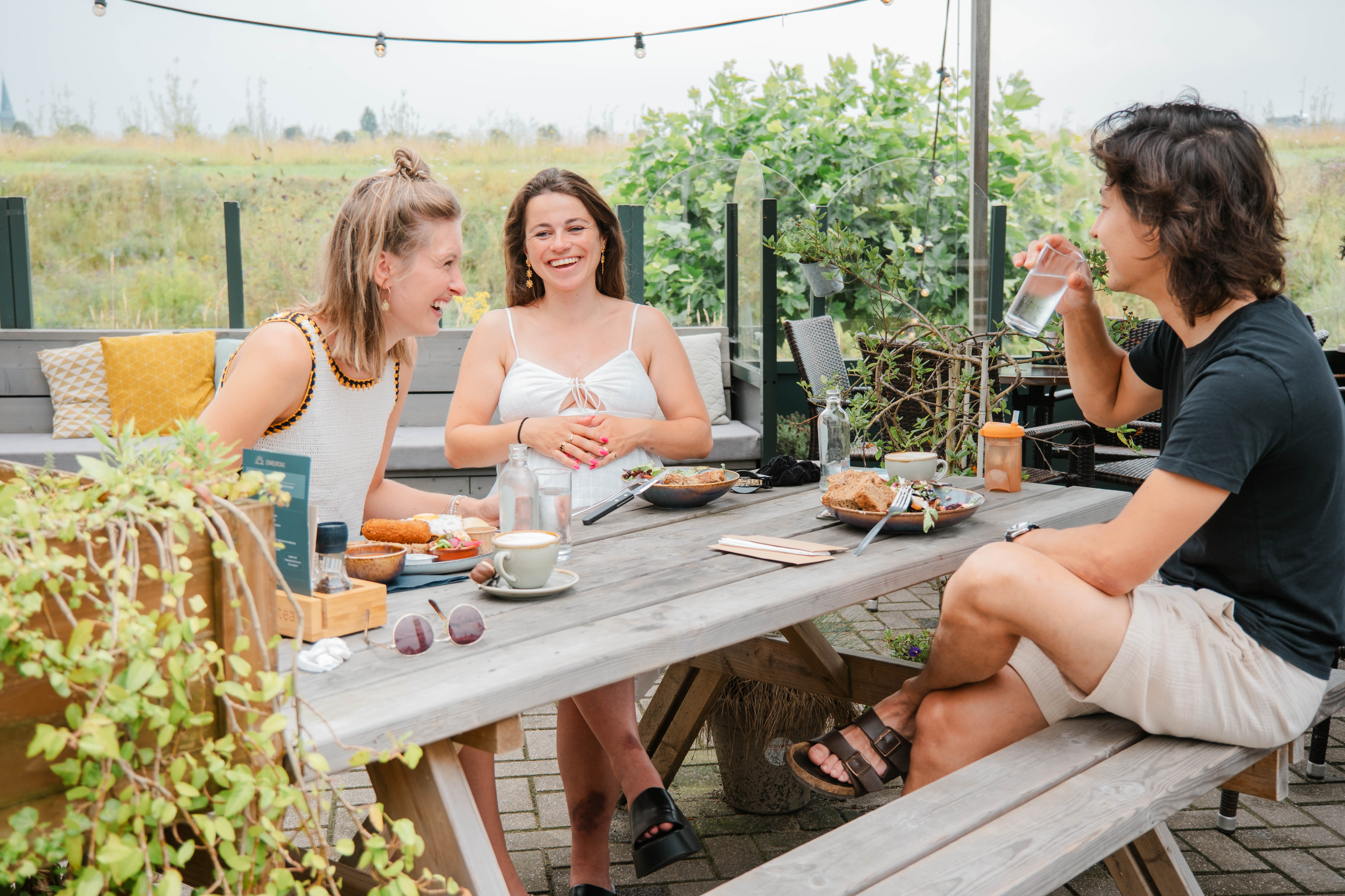 Terras op het groene eiland