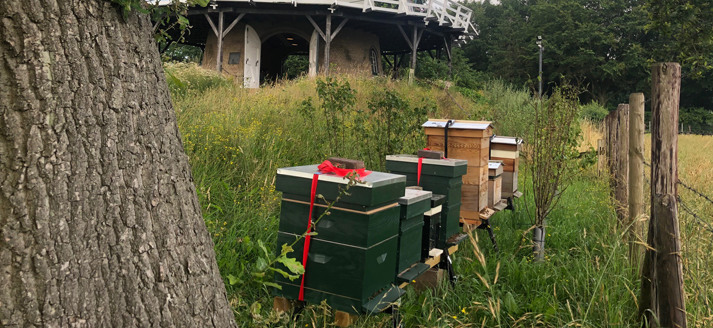 Bijenkasten