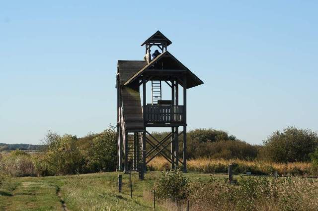 Uitkijktoren Leinewijk