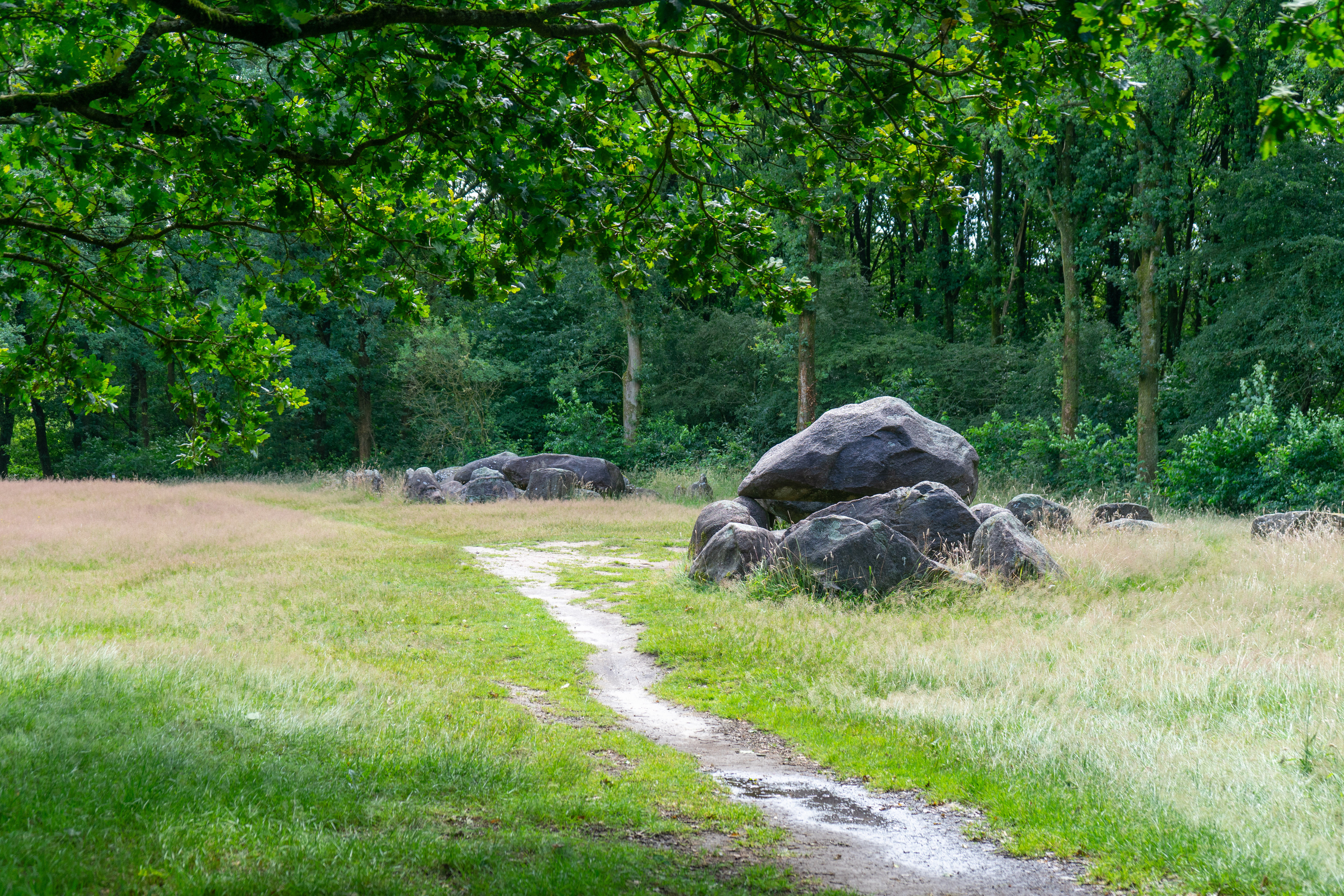 De Tweeling van Drouwen