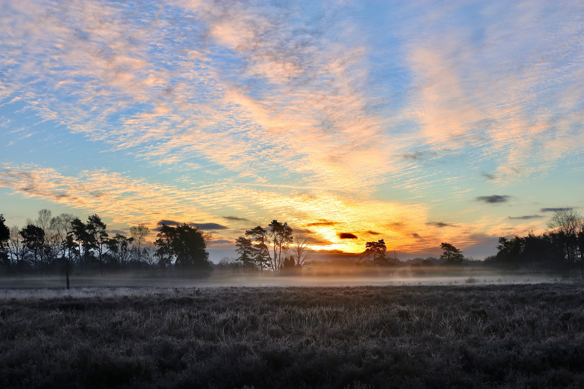 Haaksbergerveen bij Haaksbergen