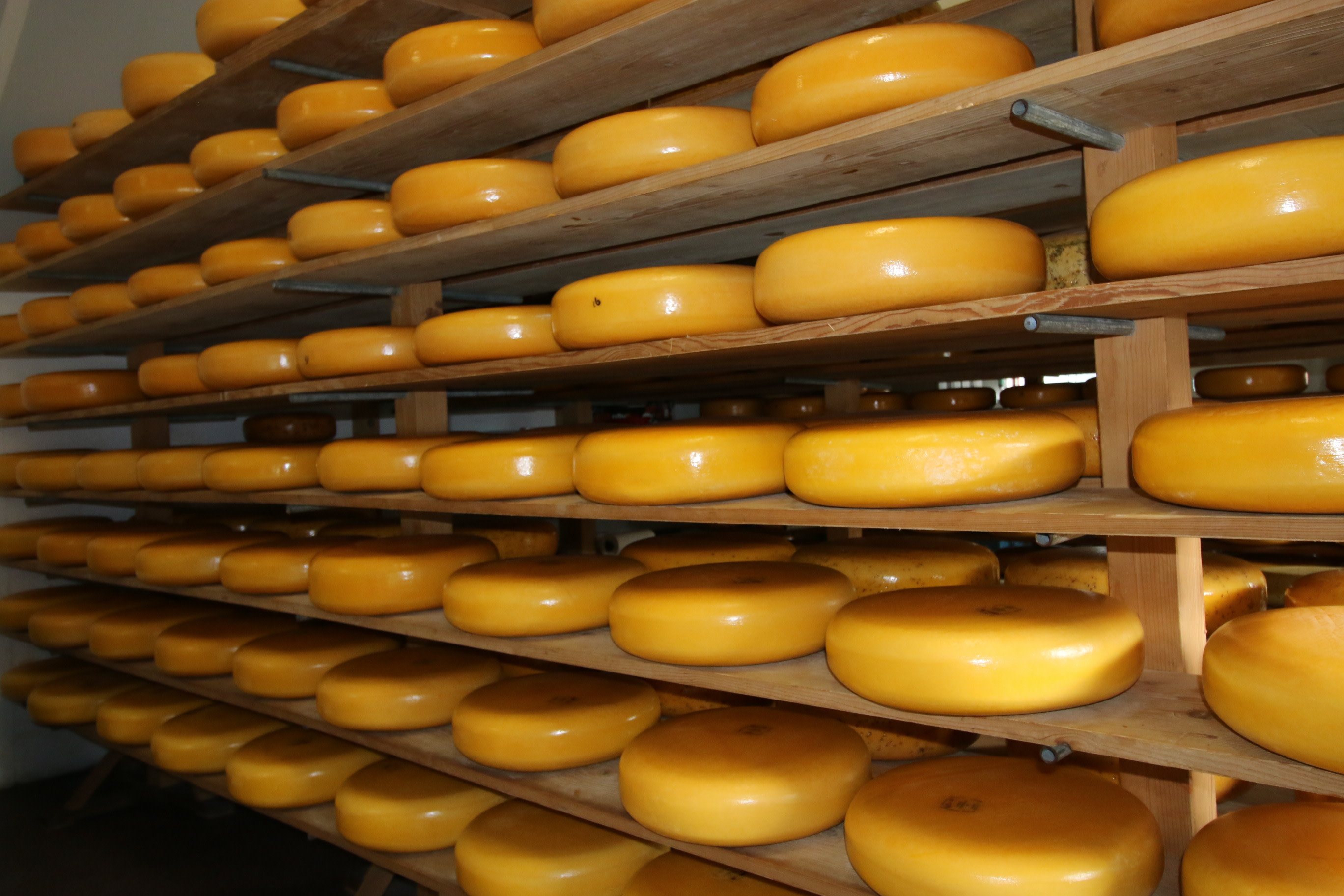 De lekkere kazen van Zuivelboerderij van Wees