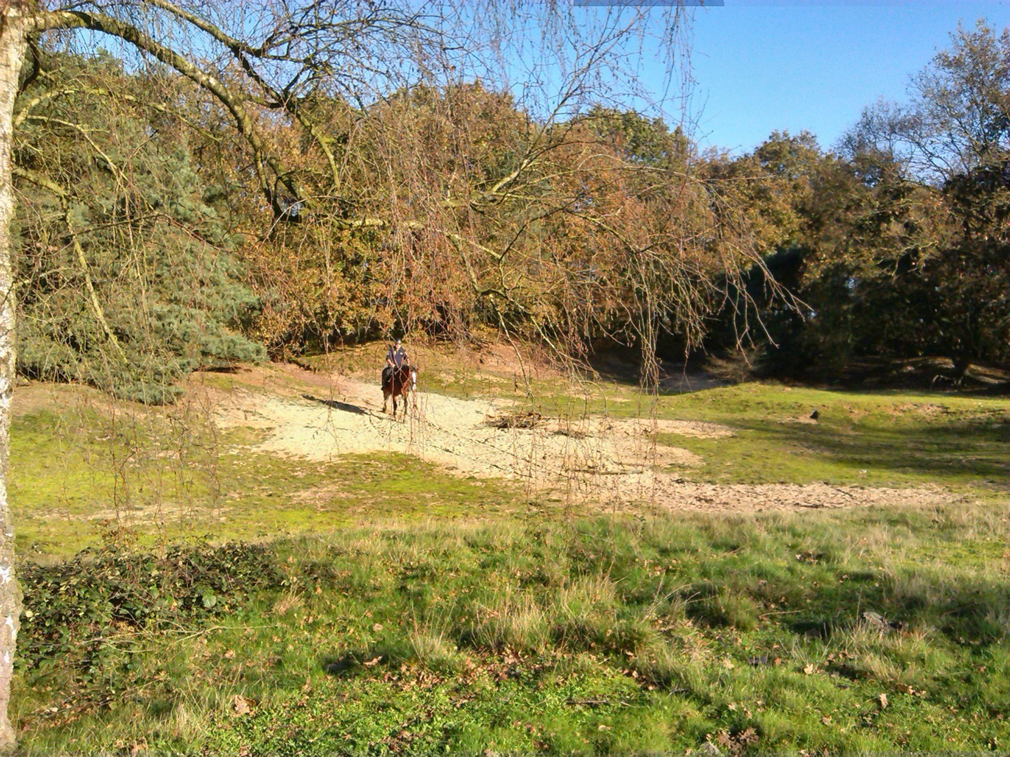 Groeningse Bergjes - ©VisitBrabant