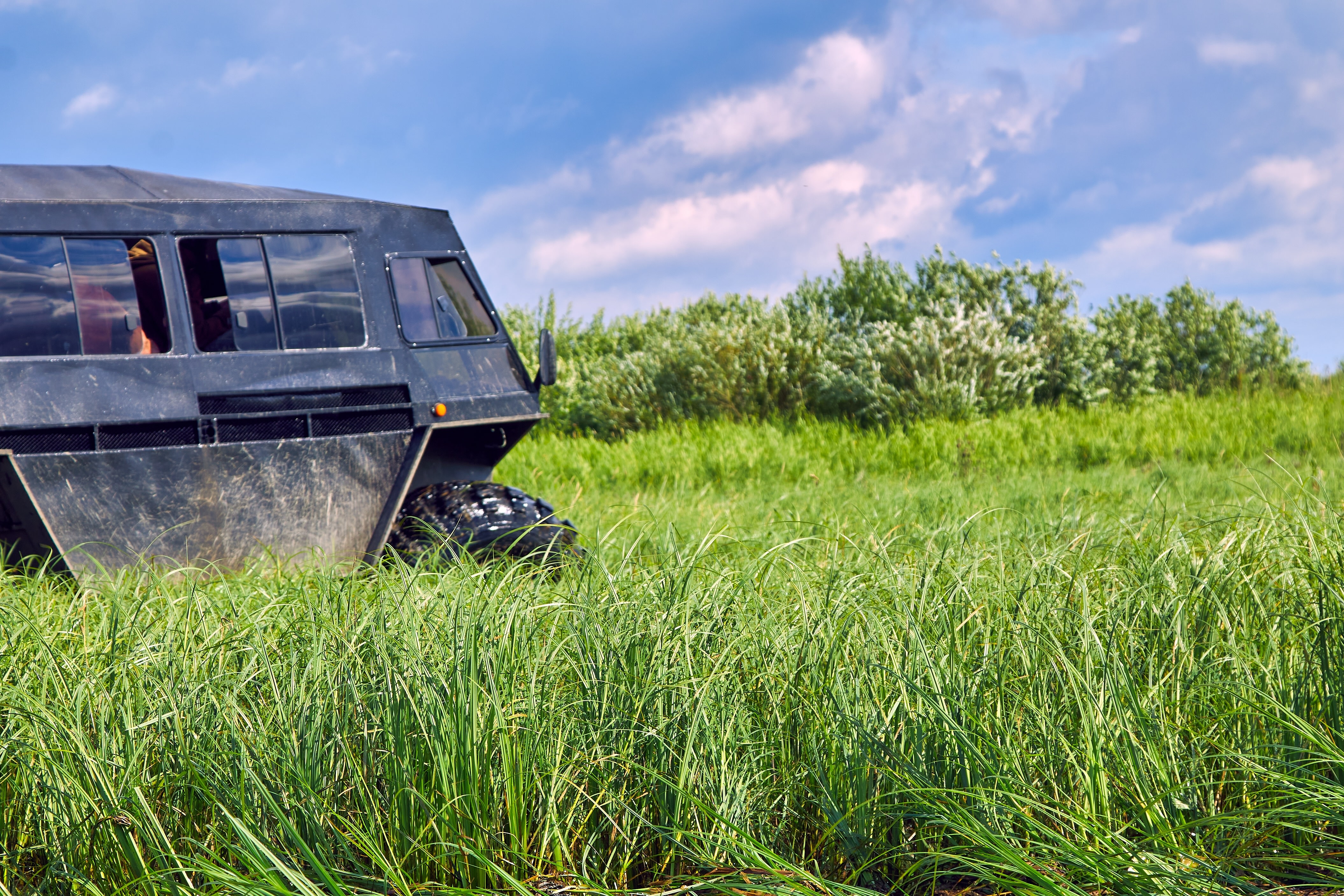 Foto ter illustratie