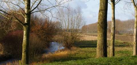 Cafe Restaurant Het Bonte Hert