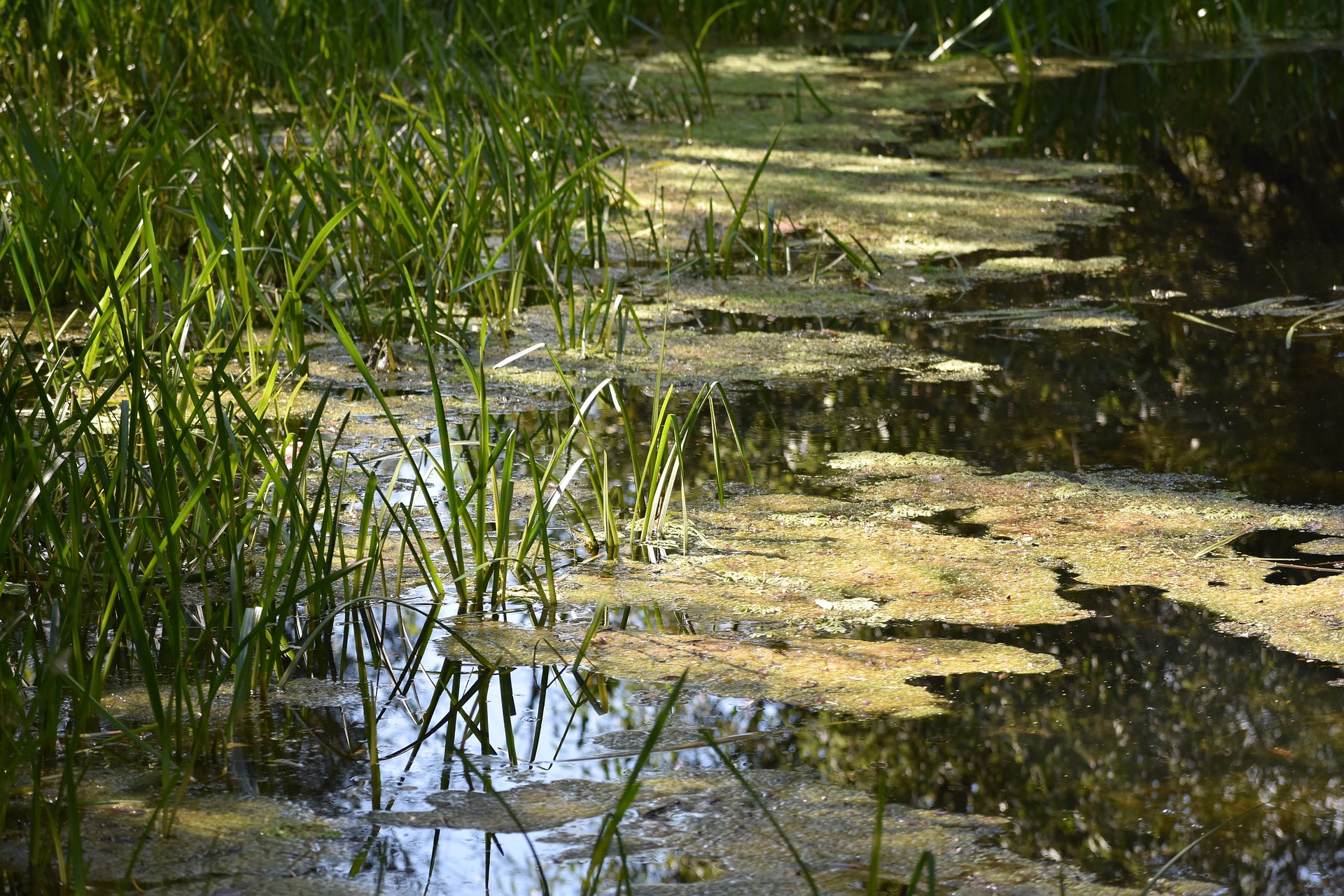 Vindplaats V1 Bom Kruisland