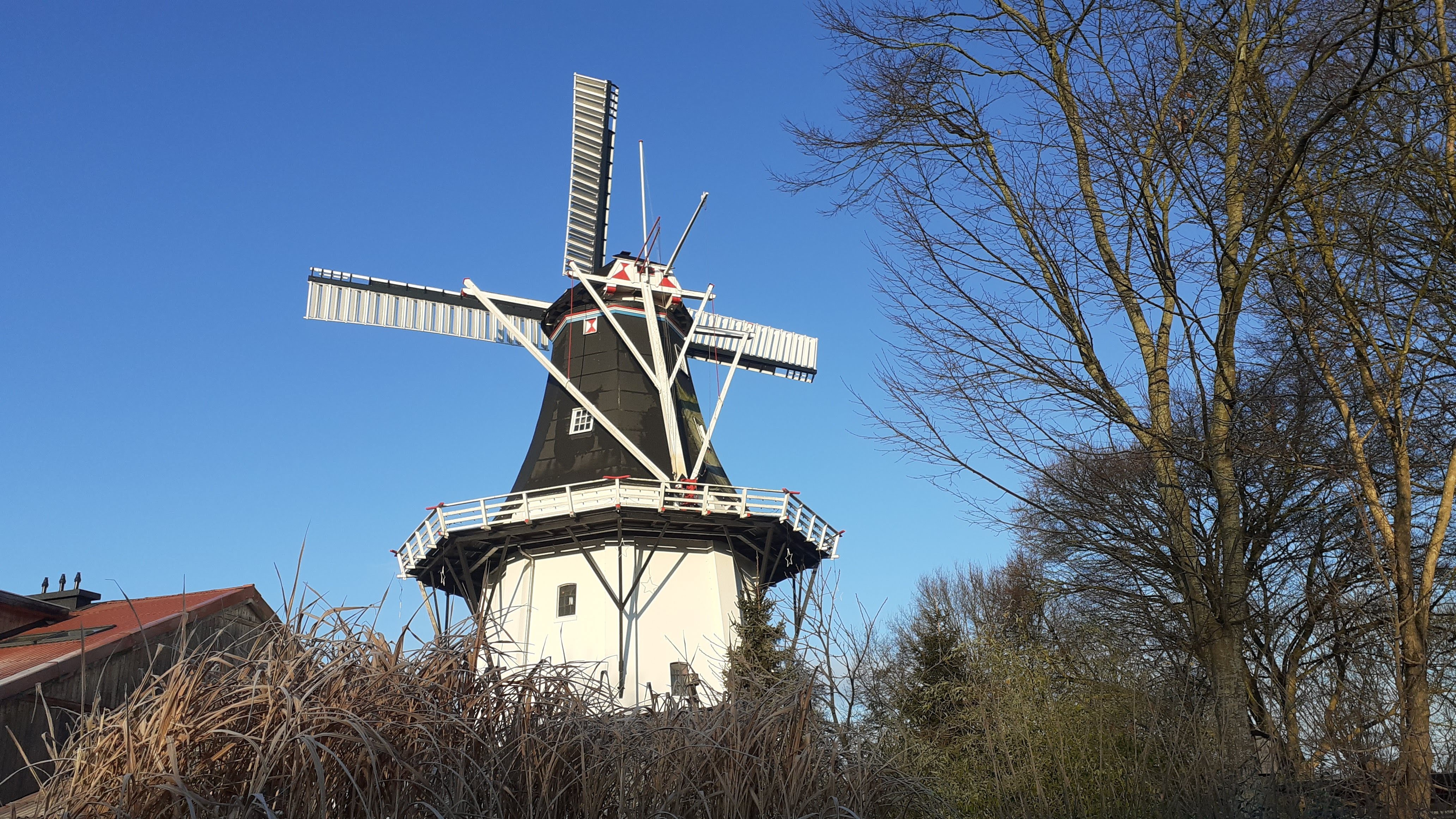 Molen Wilhelmina